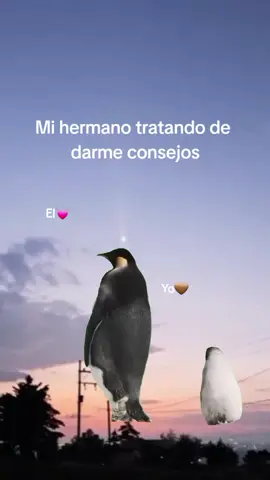 😄💗 #Meme #hermano #fyp #paratiiiii 