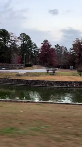 #viejitasperobonitas #purasparapiatear🍻 #videoviralitiktok #romanticasdelayer #loscaminantes 