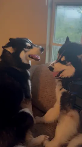 Husband & Wife😂😢😂