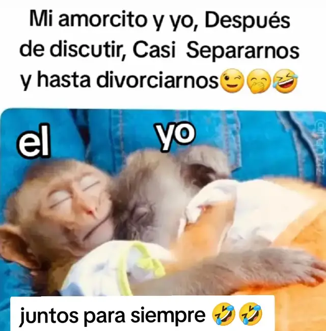 #viraltiktok #fyp #humor