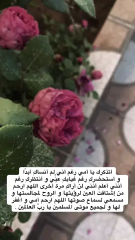 اللهمَّ عظِّم أُجورنا حين نشتاق لمن فقدنا ، اللهمَّ زدنا قوةً وزدهم رحمةً وإجعل ملتقانا بفردوسك الأعلى ، اللهمَّ إرحم من كانت ضياءً لنا وسعادةً لأرواحنا وملاذاً بعدك سبحانك لشتات قلوبنا ، ربِّ إرحم أمِّي وإغفرلها وأسكنها فسيح جناتك وجميع موتى المسلمين #اللهم_اغفر_لهم_وارحمهم #exploreاكسبلور #امي #ابي #اكسبلوررررر #fyp 