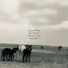 #علوش_بن_علوش #fyp #شعروقصيد #اكسبلورexplore #مالي_خلق_احط_هاشتاقات 