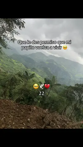 #mi viejo lo extraño 🕊️🥺