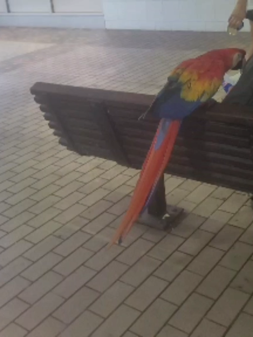 See all the fun #vacations I    get as a#skiplaggedpartner ?Join in on the #fun and watch this #youtube video here https://youtu.be/AE1rJPSq38A