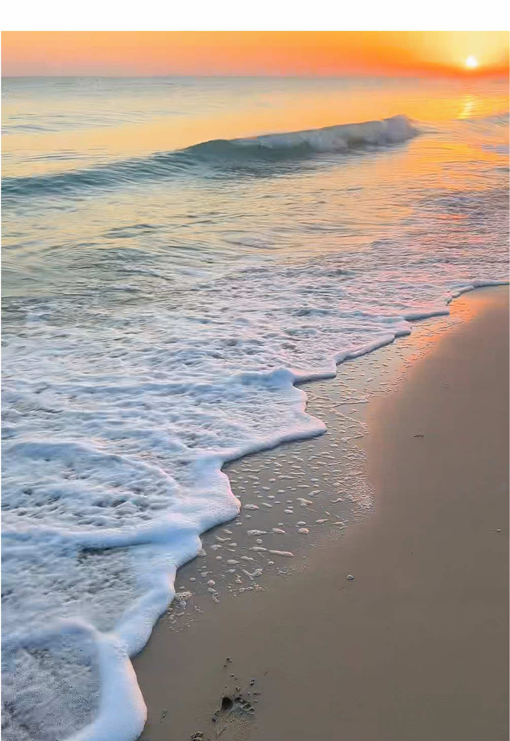 #🇸🇦 #الشعب_الصيني_ماله_حل😂😂 #بحر #راس_تنوره #الخبر 