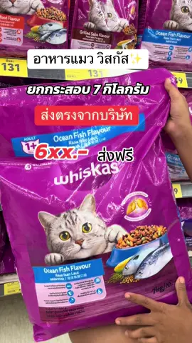 #อาหารแมววิสกัส7กิโลกรัม #คลิปนี้ต้องฟีด #คอนเทนต์ปังอัพยอด #tiktokshopmallบอกต่อ #สินค้าปังดันยอดขาย 