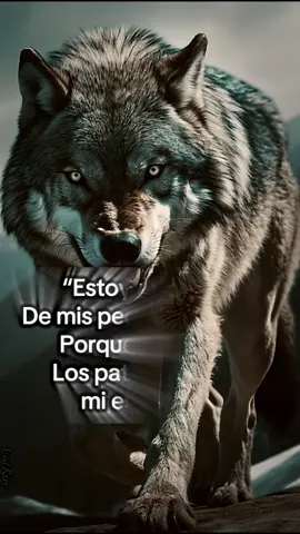 #motivation #reflexion #frases #paraty #motivacion 