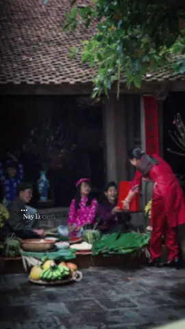 Xuân đã về đến miền quê 🌸🌸🌸🌸🌸🌸🌸🌸🌸🌸🌸 #muaxuan #muaxuanhoano #2026 #tetnguyendan 