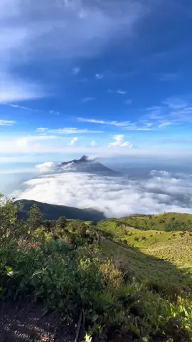 Puncak merbabu dikala cerah ❤️ #merbabumountain #pendakigunung #abcxyz #fyp 