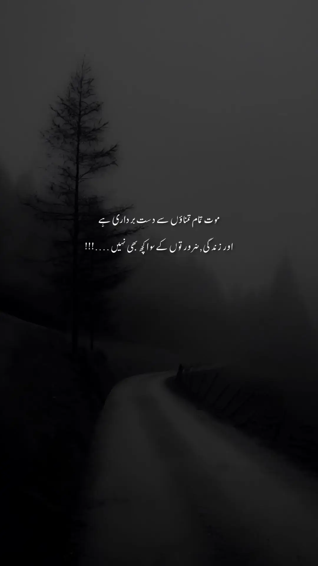 😶🥀#pakistan #foruyou #urdupoetry #italyale 
