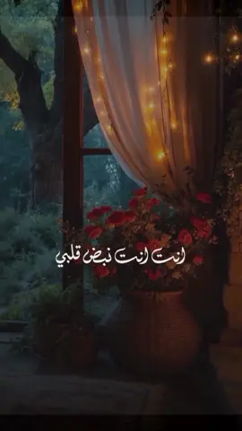 #خيل_وخياله🐎 #جمال #حب #المغرب🇲🇦تونس🇹🇳الجزائر🇩🇿 