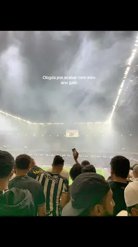 Tmnc galo#atleticomineiro #torcidaorganizada #galoucura 