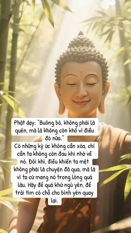 Nam Mô A Di Đà Phật 🙏🙏🙏#hoanhi #giacngo 