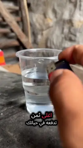 قصص الذكاء الاصطناعي قصص السيرة النبوية قصص الأنبياء والمرسلين قصص الصحابة قصص في القرآن الكريم قصص المطلقات خيانة زوجية قصص لبنى قصص العباسية قصص رون الجزء الثاني الجزء الاول الجزء الاخير الحلقة