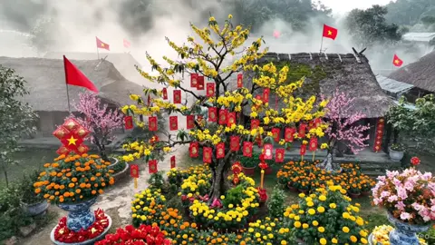 Gió Đông Sang Rồi Mọi Người Ơi 🌼🧧🌸Tết Đang về🌼🧧🌸#tet #tet2026 #tetnguyendan2026🧧🎆🧨 #khongkhitet #viral 