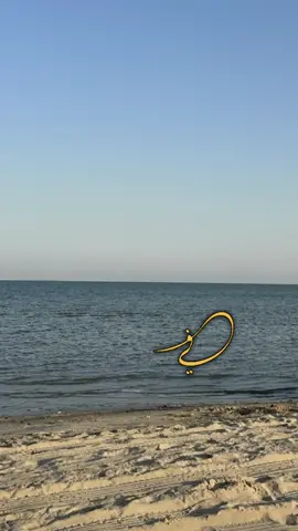 #المرسى #اكسبلور #الشعب_الصيني_ماله_حل😂😂 #ترندات_تيك_توك 