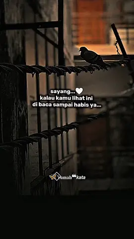 kirim atau tag kesayangan nya 👇  (sayang di baca sampai habis ya) #lovestory #fyp #tagsomeone #katakata #quotescinta 