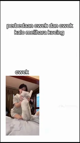beruntung bgt kucingnya cok#fyppppppppppppppppppppppp 