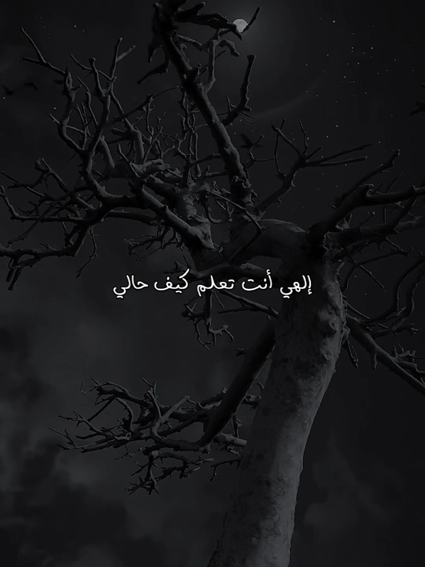 إلهي أنت تعلم كيف حالي.. مشاري راشد العفاسي || ابتهال أغيب وذو اللطائف لا يغيب #ابتهالات #ابتهال #بدون_موسيقى #اناشيد 