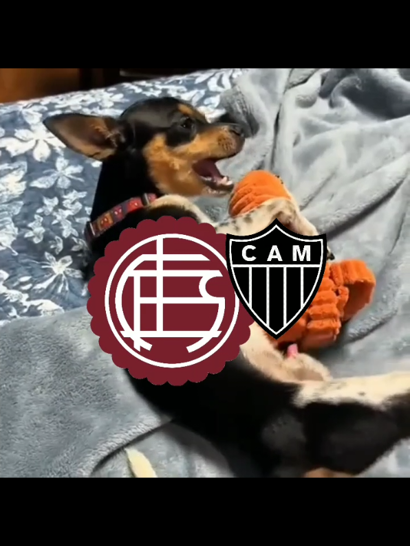 Na rlk do Galo vice da sula-americana 🤣🔥 #atleticomineiro #lanus #edit 
