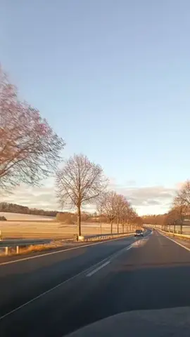 #fyp #ايه-والا-ايه-والا—ايه-والا-ايه#وردة_الجزائرية 