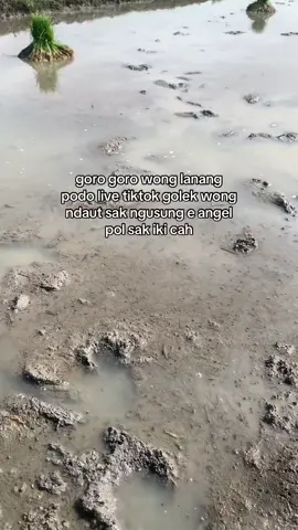 Sementara tak atasi dewe #fyp #petaniindonesia🇮🇩🇮🇩🇮🇩🌿🌿 #videolucu #petanimuda #fyppppppppppppppppppppppp 