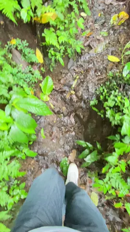 kediri lantai dua               #airterjundolo #kediri24jam #kediri #fyppppppppppppppppppppppp 