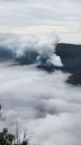 Bromo 23 November 2025 Amalan apa yang kalian perbuat hingga dapet lautan awan seindah ini woii 🥹 - Private trip Bromo dm #bromo #fyp #fgbromo #pakejbromo 