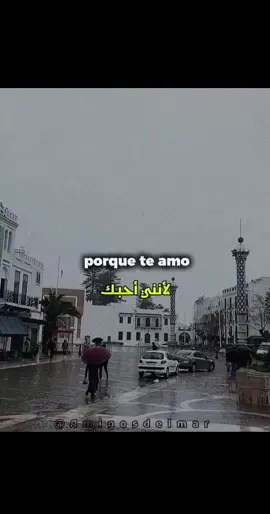Amigosdelalma - amor del norte 🫶🏻