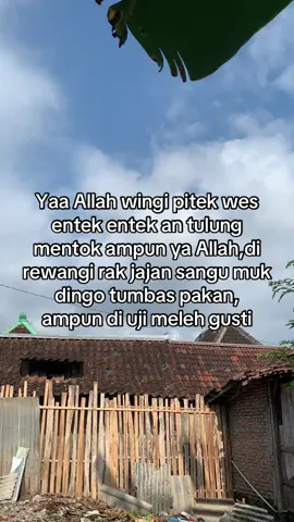 #masukberanda #peternakmuda #fyppppppppppppppppppppppp 