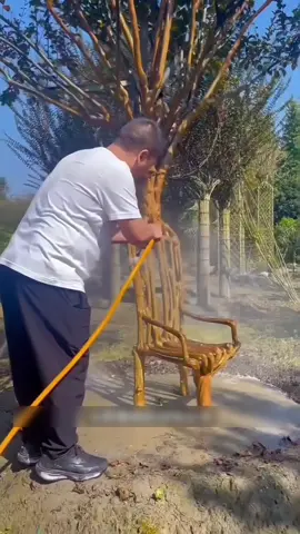 pohon unik #fypdongggggggg 