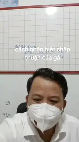 cách nhận biết chân thuận của gà đá #xuhuong #xuhuongtiktok #gadamientay #gadacuasat #gachoivietnam 