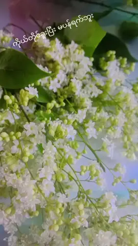 #တစ်ယောက်ထဲနဲ့လုံလောက်တဲ့နှလုံးသားမျိုးပါ  တစ်ကယ်မြတ်နိုးတဲ့သူအဖို့တော့ မပန်ရက်ဖူးကွယ်