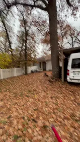 Call came in for a dog that tried to attack some people. The dog was dumped in the area a few months ago and has been aggressive ever since. I walked up slow initially but after getting too close she started charging and repeatedly tried to bite me. I was able to safely get her on the pole and onto the truck without incident. Luckily we were able to get this done before anyone was actually bit. The little dog with her was super sweet though. #animalwelfare #animalrescue #dog