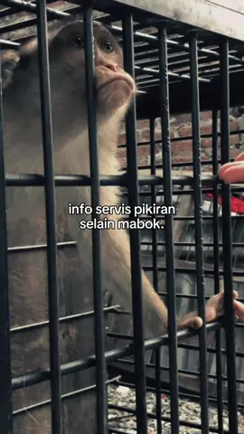 😆#fyppppppppppppppppppppppp #beranda 