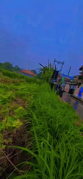 DIAPROAUDIO💫 #Nampesteam