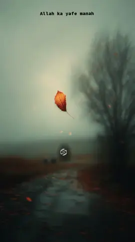 #sassmartsuhaib #lyricsvibesteam #viraltiktok #sunnah #viralvideo🙏🙏🙏 