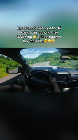 Nhắc lại lần nữa mật ngọt dễ toang lắm nha các ông, đừng lao vào để tui.😁 #hagiang #nghenhactrenxe #nhachaymoingay #tamtrang #ongchuthichlaixe 
