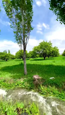 #سورة_البقره  #سعود_الشريم 