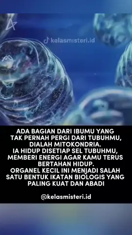 TERIMA KASIH IBU #fakta #sains #kelasmisteri #ibu 