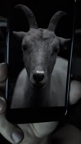 Dios tiene grandes planes preparados para ti. 🐐 #marpe #motivacion #gymmotivation #inspiracion #desarrollopersonal 