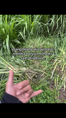 wongliyoretiopo #sobatngaret #storypeternaksapi #peternakmuda #ngaritsukettttt #katakatamotivasi 