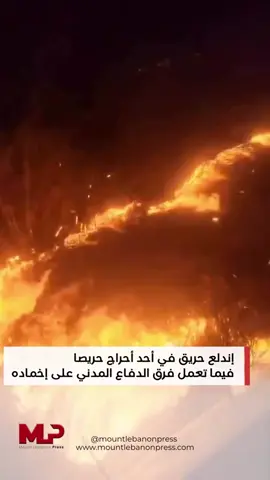 إندلع حريق في أحد أحراج حريصا  فيما تعمل فرق الدفاع المدني على إخماده