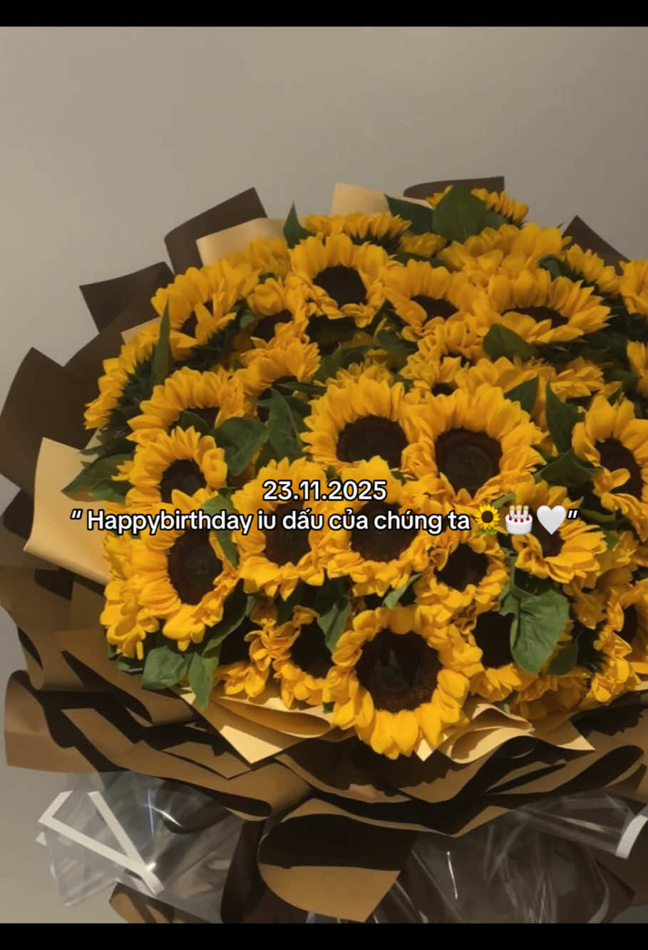 Ngày đặc biệt của người đặc biệt ^^#phantrongduong33 #trongduong #fyp #vairal 