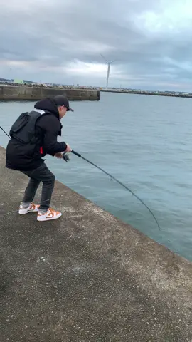 Cá cam nổ đàn ở chiba