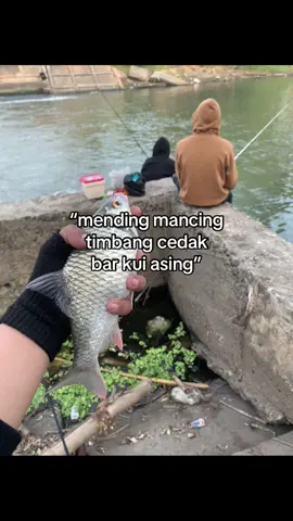⚡️ . #fyp #storymancing #mancingliar #microfishing #madiun24jam 