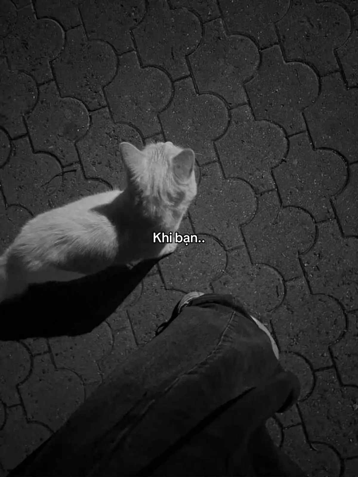 #tamtrang #fyp #tinhyeu #ddnxuhuong #phecamxuc 