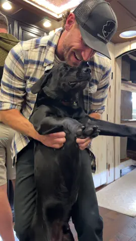 my best buddy  #countrymusic #countrysongs #dogsoftiktok #blacklab #benchseat 