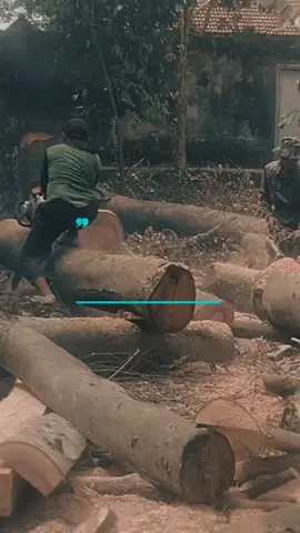 terlihat tenang bukan berarti senang,, aku hanya berjuang tanpa harus membenci kenyataan,,, *Buang draff* #isinendewe?  #isinendewe?  #isinendewe? 😅😅