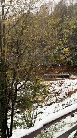 ثلوج صبنجة 🇹🇷 ❄️☃️ #تركيا  #ثلوج #شتاء  #snow  #explore 